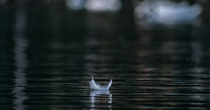 Meeting Christ in the Stillness