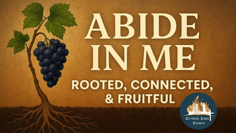 Abide in Me 
