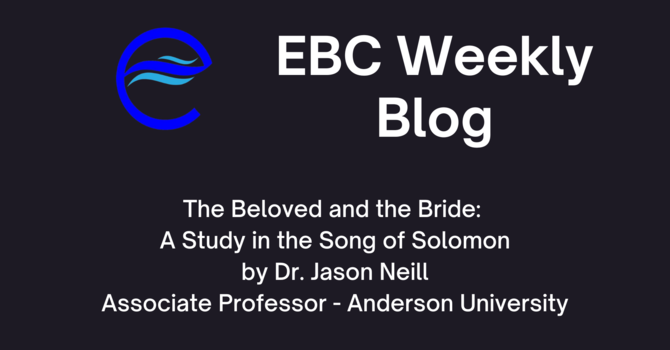 The Beloved and the Bride: A Study in the Song of Solomon  image