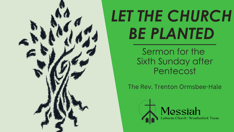 Let the Church be Planted