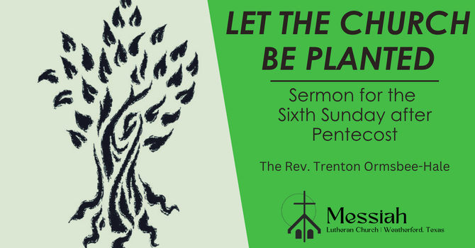 Let the Church be Planted