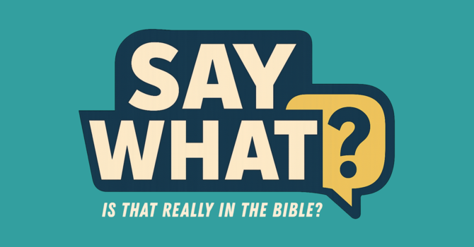 Say What: The Unpardonable Sin