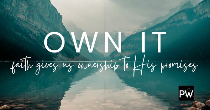 Own It image