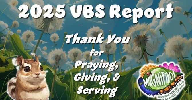 2025 VBS Report image