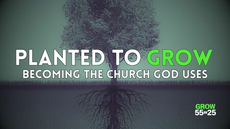 Planted to GROW