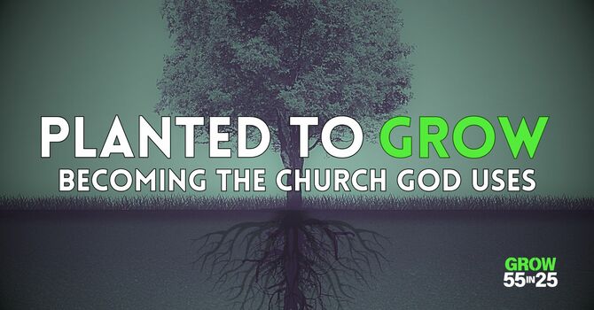 Planted with Purpose: Refocusing the Church on God's Mission and Vision
