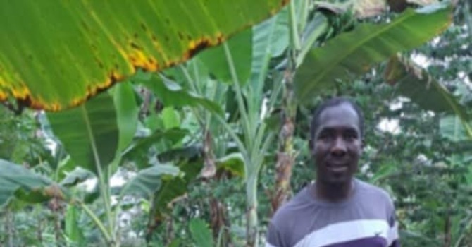 Supply Fresh Water by Building Wells and Solar-Powered Water Pumps