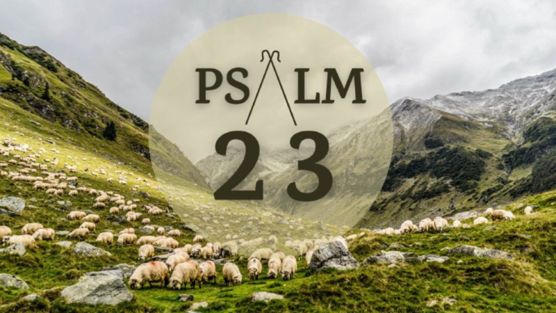 Psalm 23 #3 - He Makes Me Lie Down