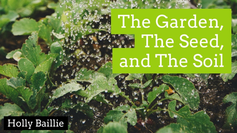 The Garden, The Seed, and The Soil