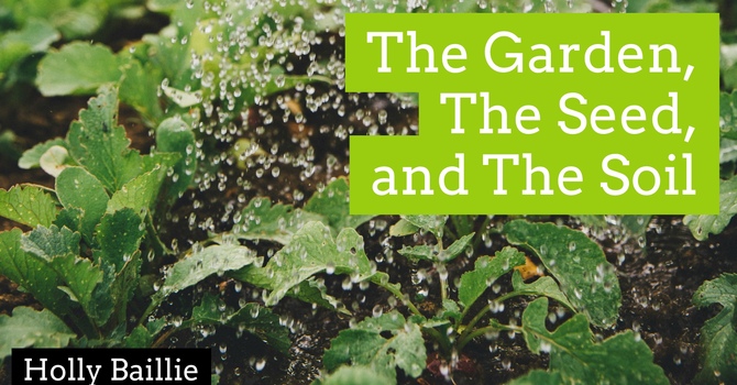 The Garden, The Seed, and The Soil
