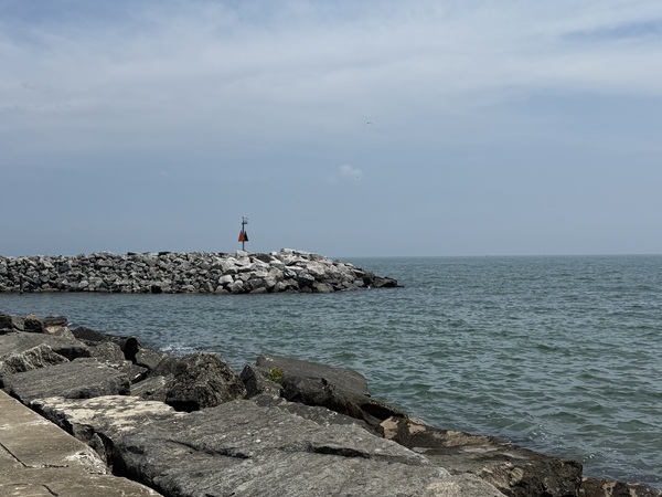 Listening upon the Shore