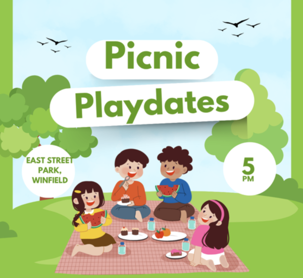Summer Picnic Playdate