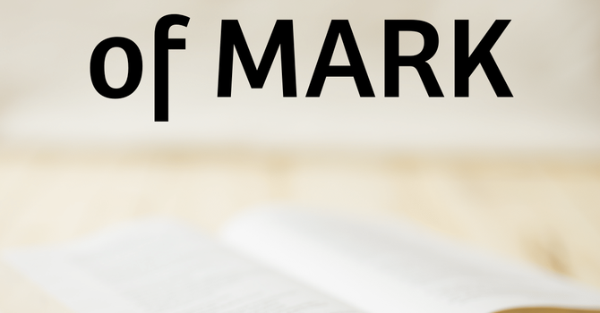 Men's Bible Study
