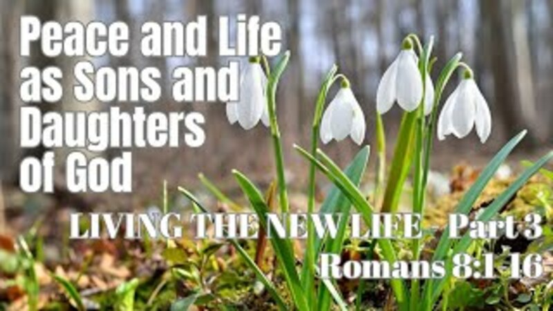 Living the New Life