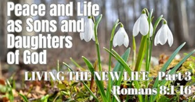 Living the New Life