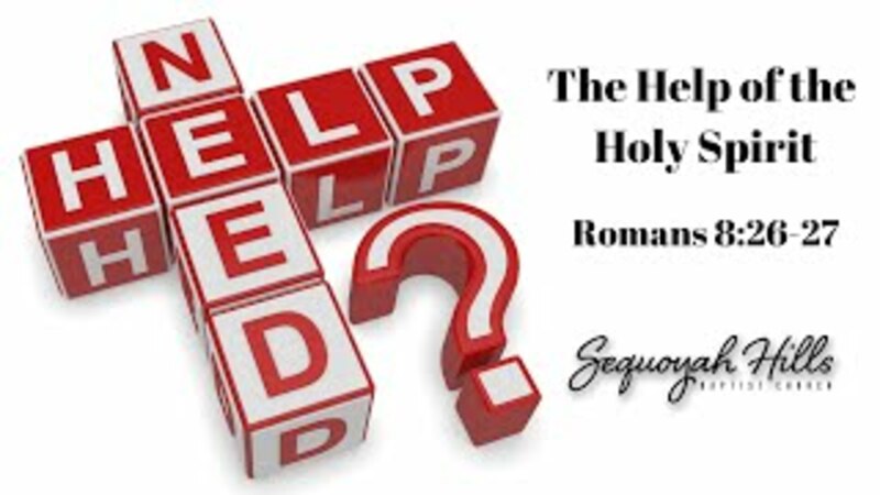 Need Help?
