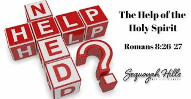 Need Help?