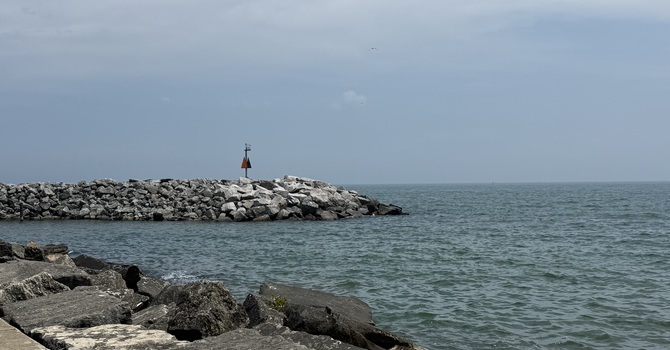 Listening upon the Shore image