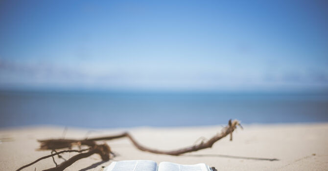 Delight In His Word