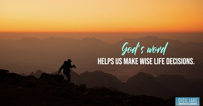 "MADE WISE" image