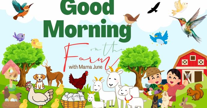 Good Morning on the Farm