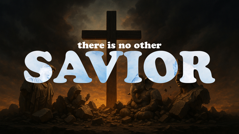 There is no other Savior