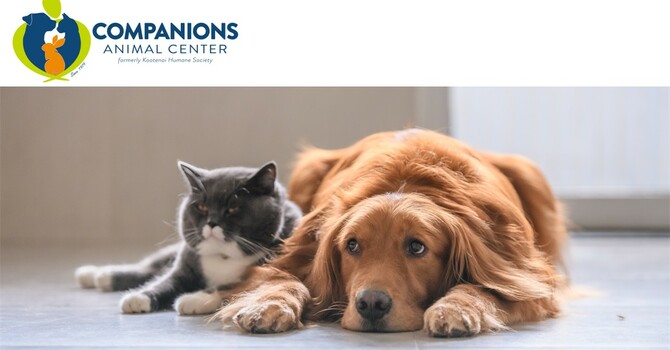 Pet Love and Service Project image
