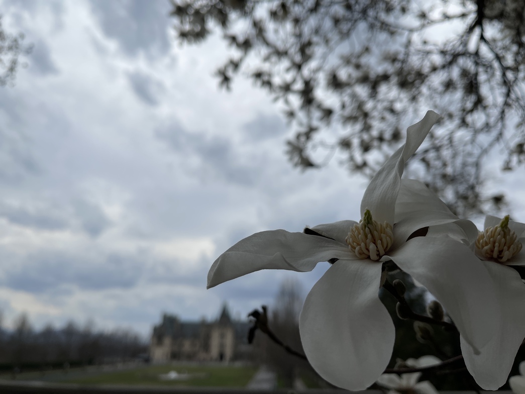 Slideshow image