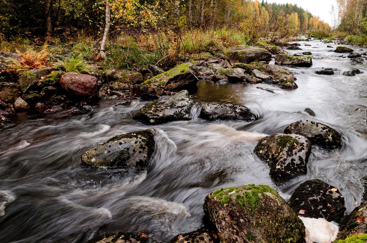 Slideshow image