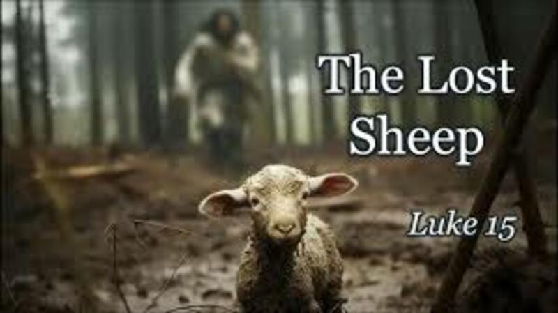 One Lost Sheep, one Extraordinary Shepherd