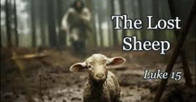 One Lost Sheep, one Extraordinary Shepherd
