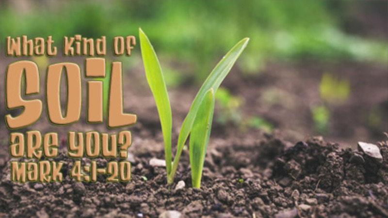 4 Kinds of Soil, Which One are You?