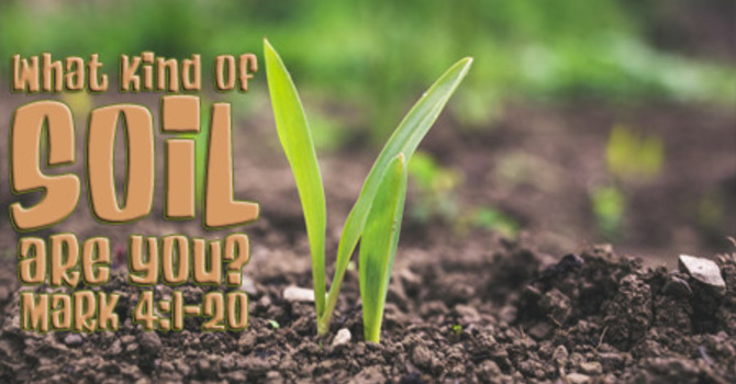 4 Kinds of Soil, Which One are You?