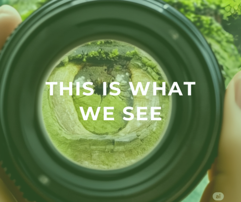 This Is What We See