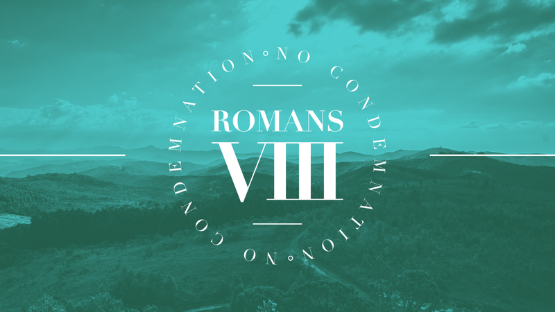 Roman 8 
