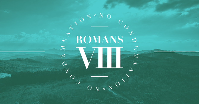 Roman 8 