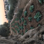 nav image