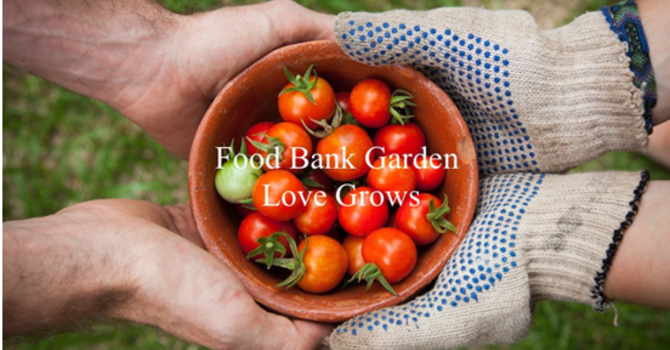 Food Garden Spirituality (S,LS)