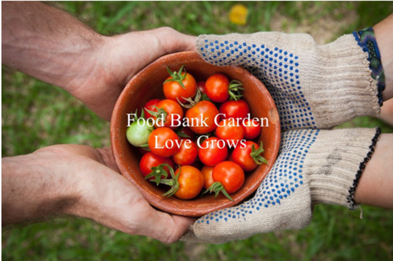 Food Garden Spirituality (S,LS)