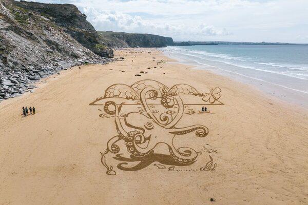 Giant sand octopus makes a splash on English beach in Cornwall