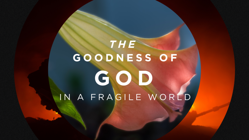 THE GOODNESS OF GOD IN A FRAGILE WORLD 