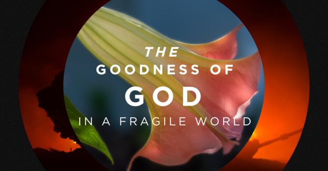 THE GOODNESS OF GOD IN A FRAGILE WORLD 