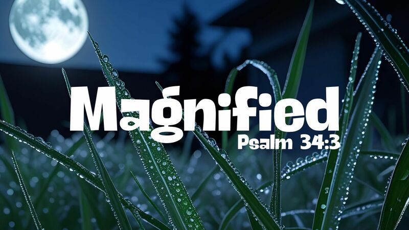 Magnified