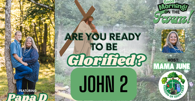 "Are You Ready to be Glorified?  John 12" image