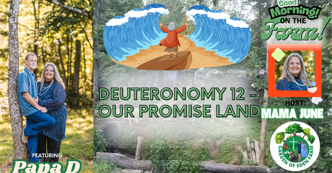 "Deuteronomy 12 - Our Promise Land" image