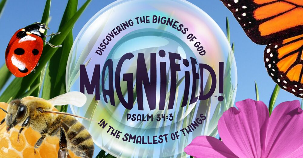 Magnified VBS