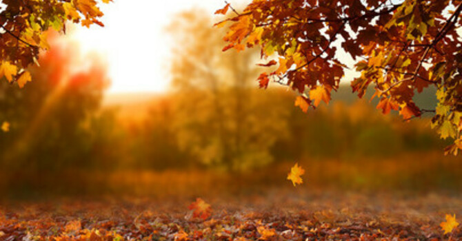 Fall Growth Groups' Session