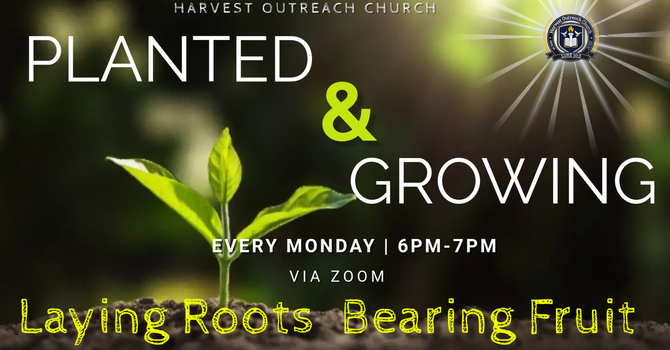  Planted & Growing