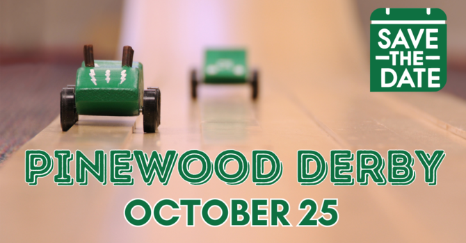Pinewood Derby Races