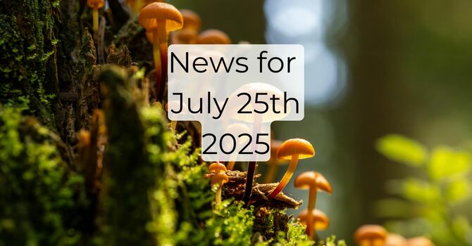News for July 25th